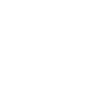 rubrik-2